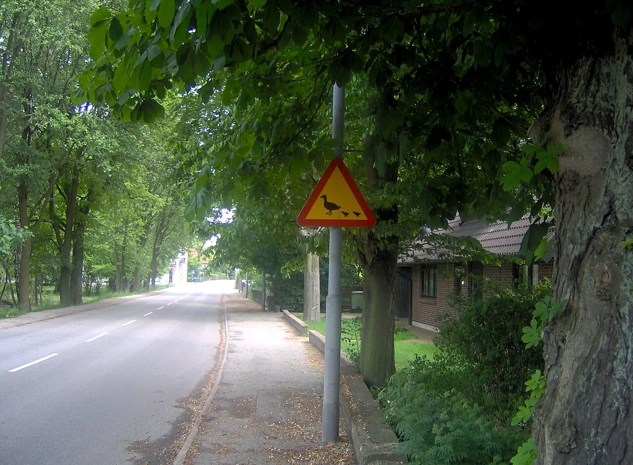 Varningsskylt för änder i Åkarp, Burlövs kommun, Skåne län, Sverige.