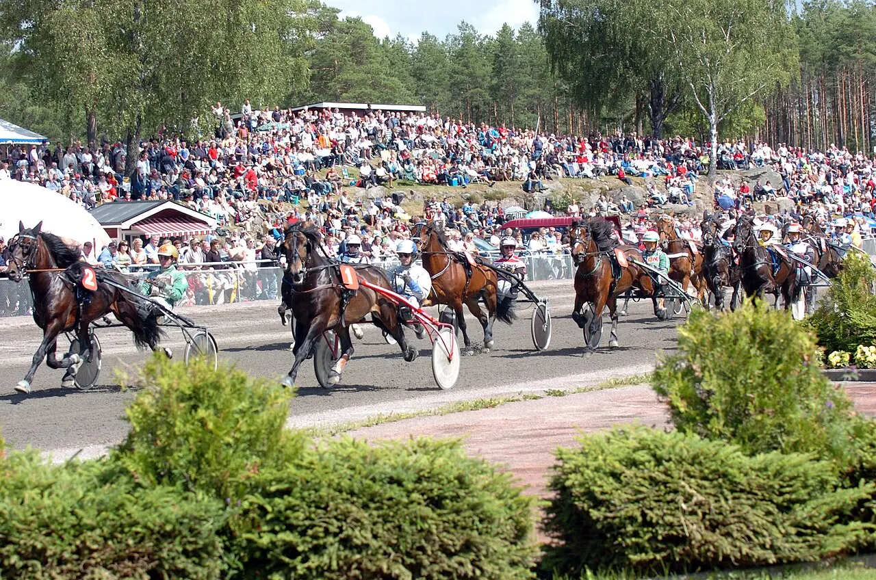 foto : ck : årjäng 080712 foto claes kärrstrand årjäng kurv vy publik