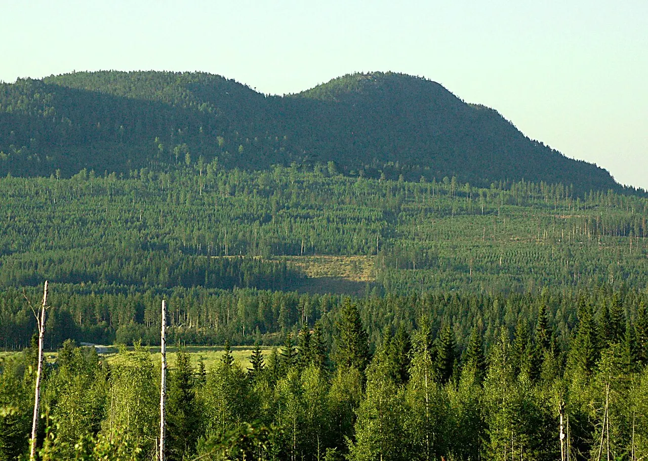 Foto av Bjurholm (Västerbottens län)
