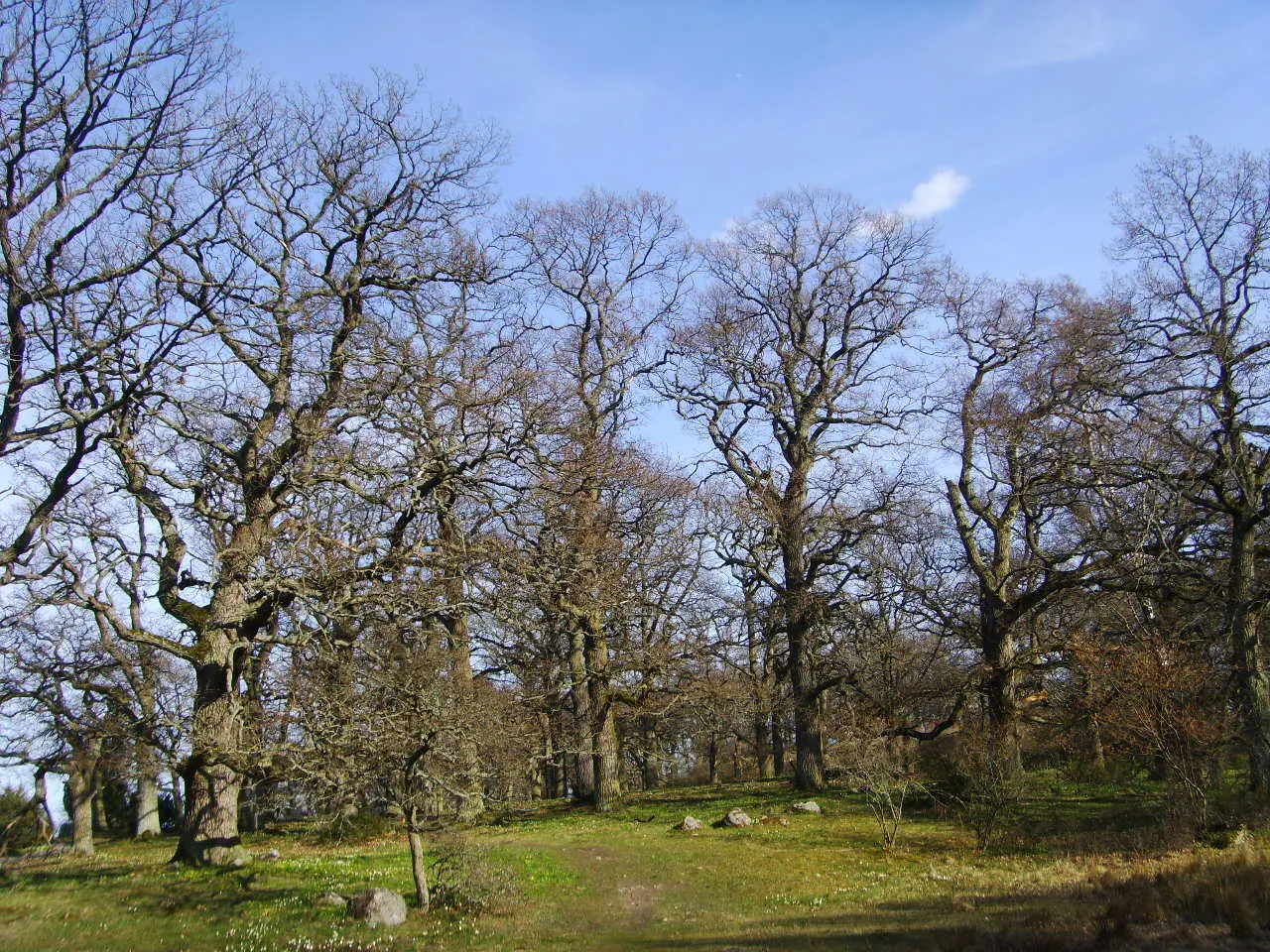 Foto av Djurön (Östergötlands län)
