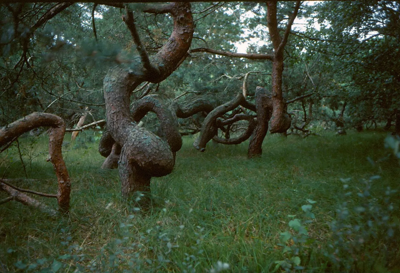 Foto av Frösakull (Hallands län)