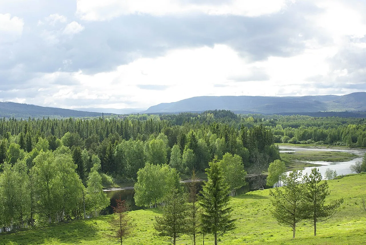 Vy över Hede från Östbacken