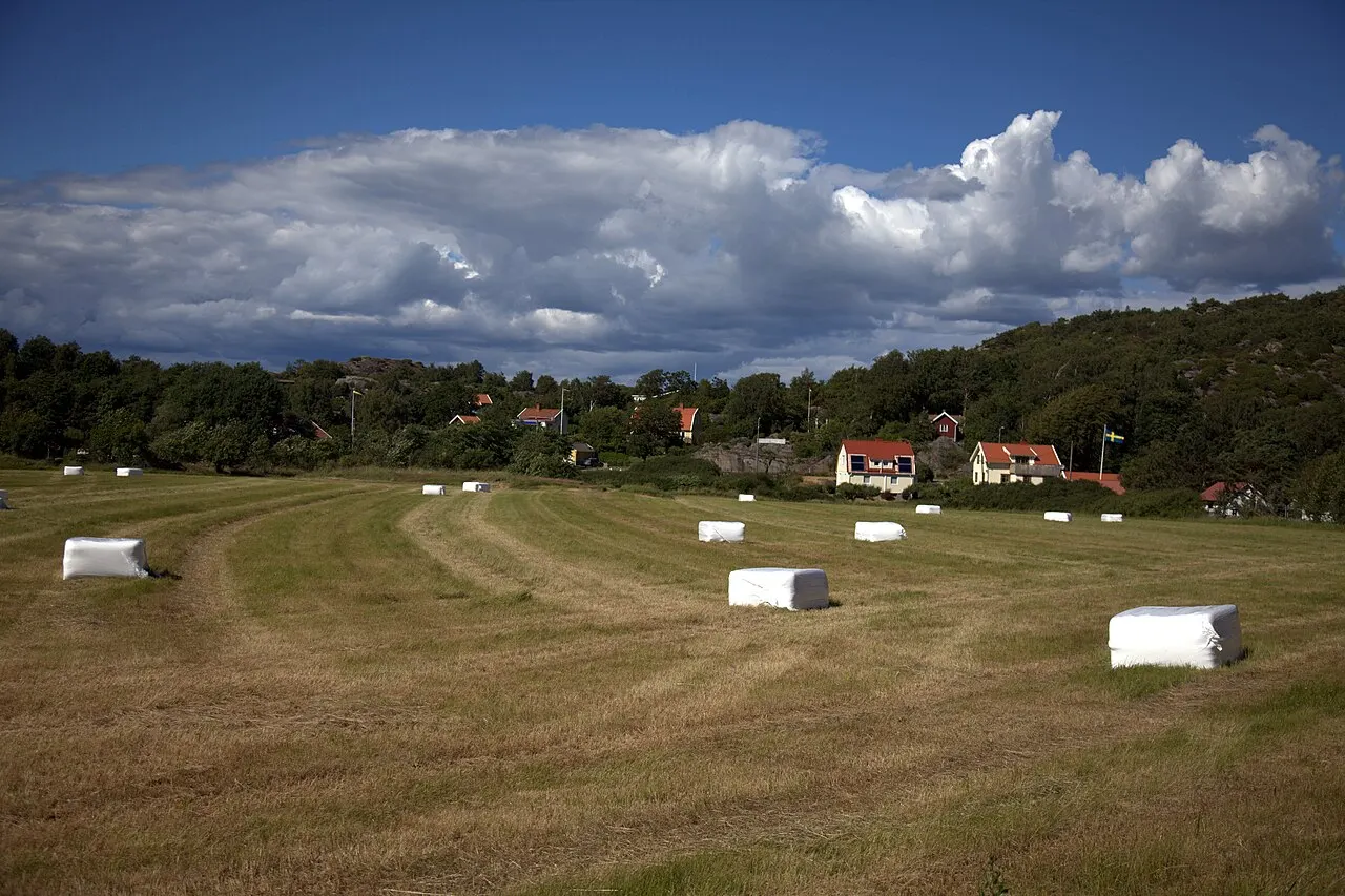 Tjuvkil i Kungälvs kommun